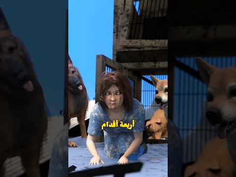 بنت تربت بين الكلاب