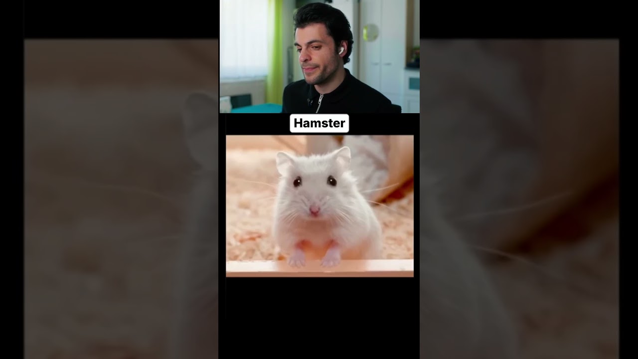 Der ist ja süß 😄