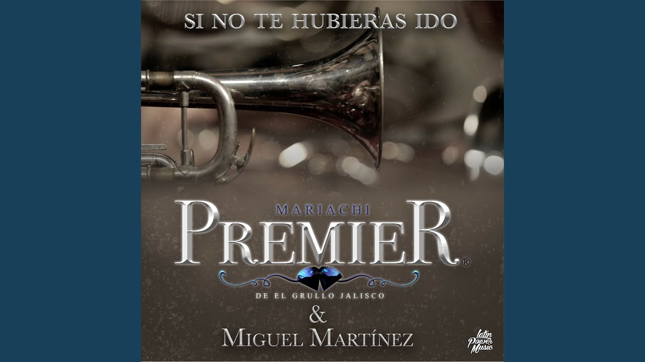 Si No Te Hubieras Ido