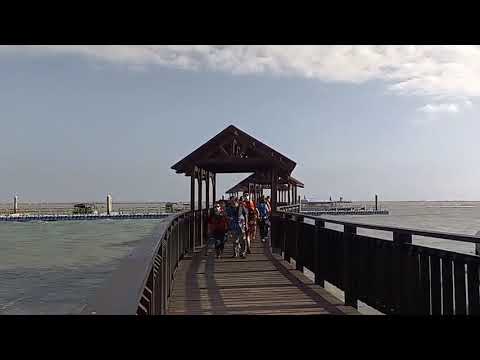 台南景點 七股「龍海號」生態之旅