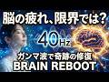 40Hz Gamma Wave Brain Repair & Memory Boost 脳の疲れが消える 記憶力回復 ヒーリングBGM
