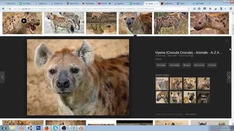 3D Texturing for Citadel Deep #gamedev #blender #3d #unity #modeling