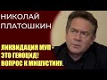 Николай Платошкин про ликвидацию МУП - это беспредел. Про Мишустина