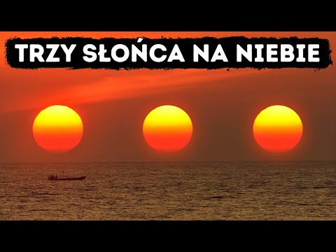 Wideo: Ptaki drapieżne (rodzaje): latawce, jastrzębie, orły, sokoły, błotniaki i inne