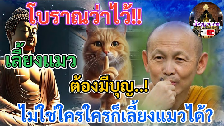 โบราณว่าไว้! เลี้ยงแมวต้องมีบุญ  ไม่ใช่ใครๆ ก็เลี้ยงแมวได้@เติมบุญชาแนล
