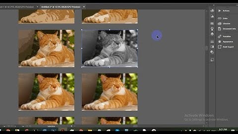 LEDP | Graphic Design | Batch-61 | Bangla Tutorial | Class-17