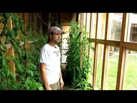 Video: Nápady na podzemní zahrady – vybudování podzemního skleníku