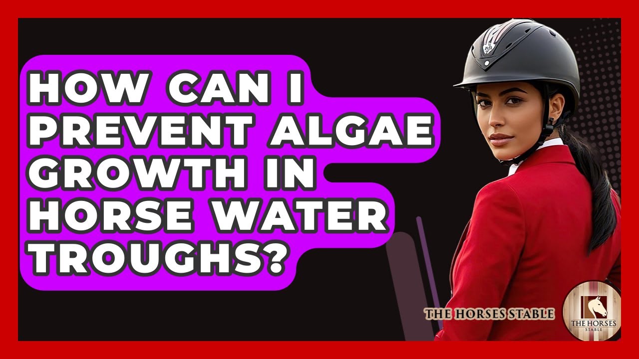 How Can I Prevent Algae Growth In Horse Water Troughs? - The Horses Stable