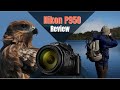 Nikon P950 Review