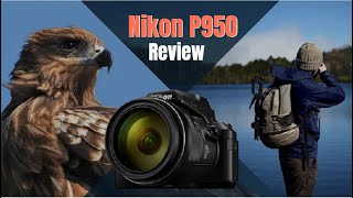 Nikon P950 Review