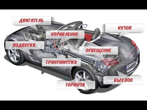 Video: G'ildiraklarni taqillatish noqonuniymi?