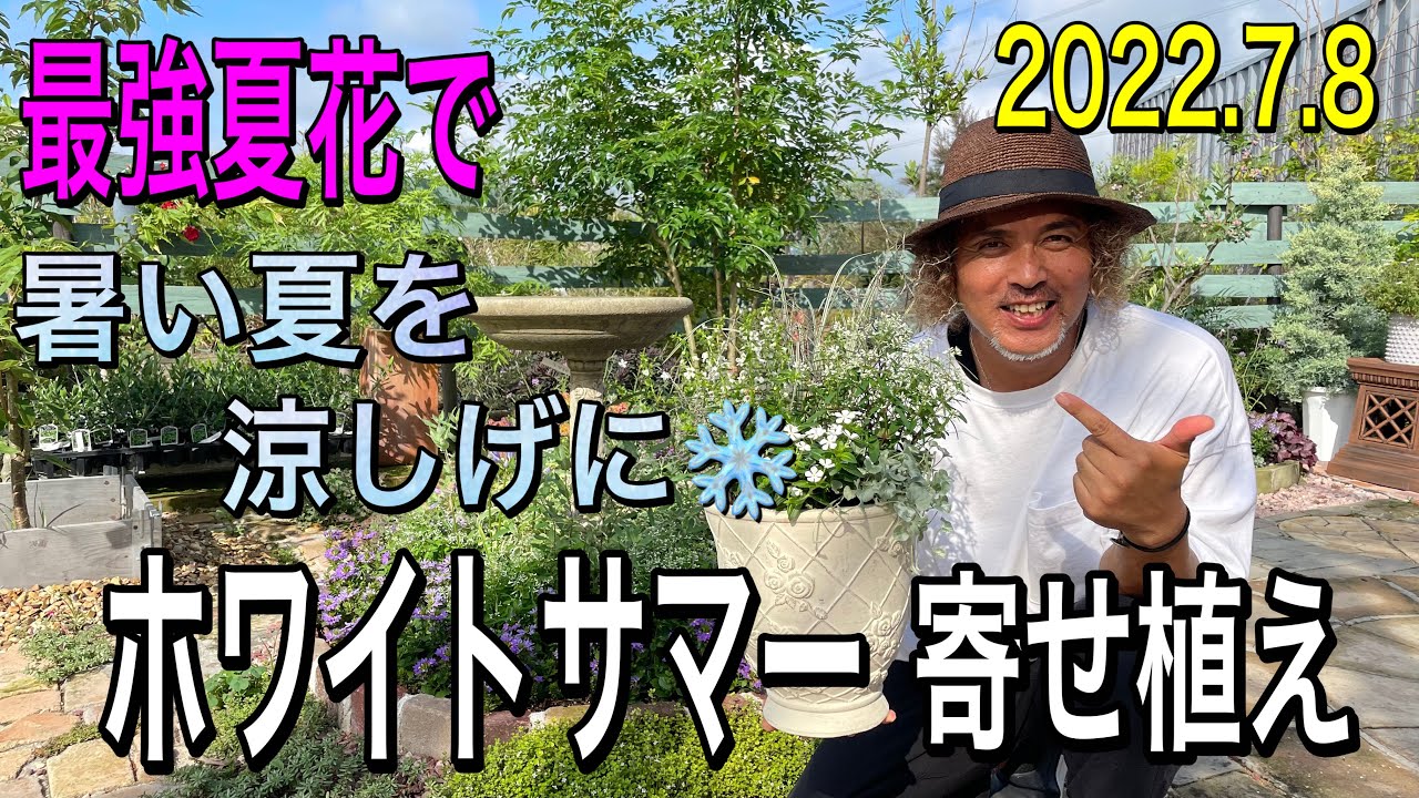 Planting] Cool white summer planting with the strongest summer