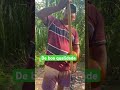 #berimbau #capoeira