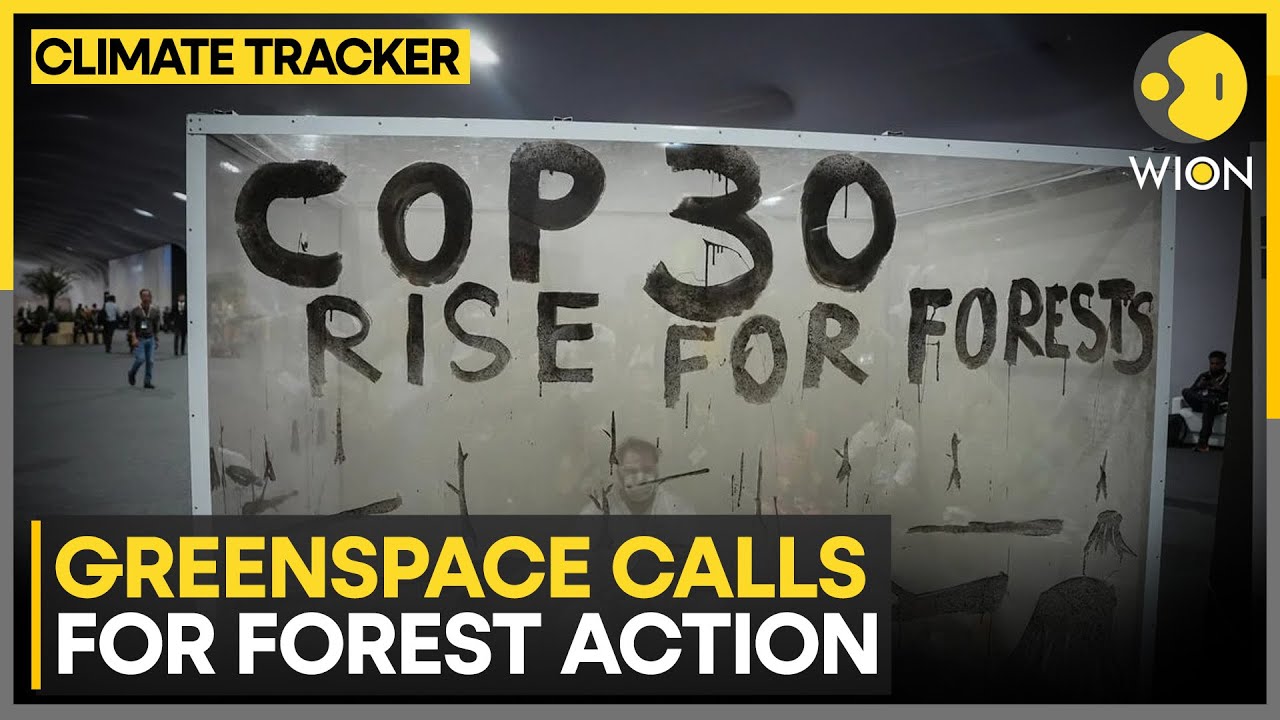 Brazilian Artist Mundano Uses Ashes from Forest Fires to Call for Urgent Climate Action | WION