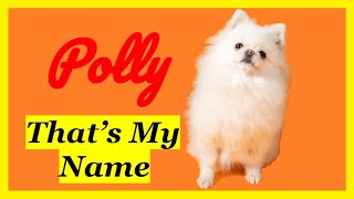 Polly - That's my name by Kathleen Tepperies CTDI, CAP3, FSG1 66 views 2 months ago 5 minutes, 23 seconds