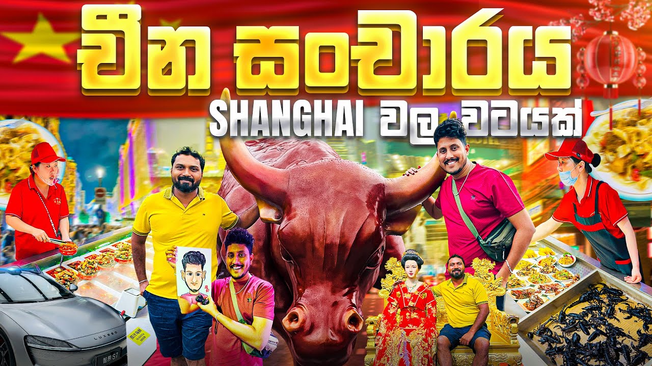 The Bund, Street Food, Metro & More in Shanghai | China Tour Guide Sinhala 🇨🇳