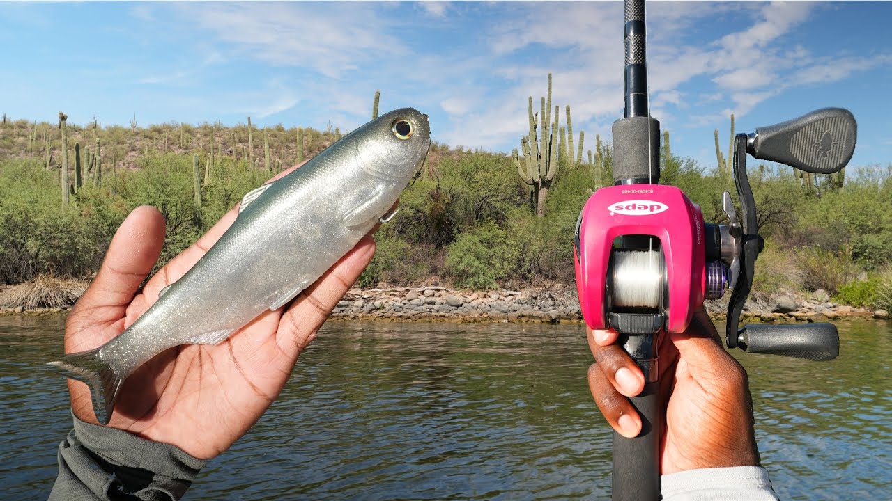 This BIG Topwater Swimbait Made The Fish Go Crazy!