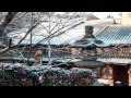 Снег в Киото. Snow in Kyoto