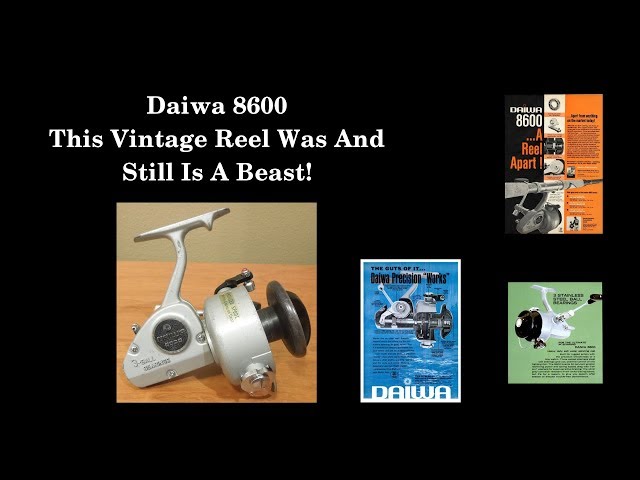 Vintage Surf Spinning Reel - Daiwa 8600 - YouTube