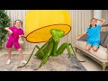 家で虫を捕まえよう:子供のための驚くべき昆虫の事実と鳴き声 🐞🎶