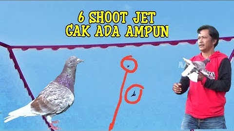 6 shoot Jet yg menggemparkan ribuan penonton