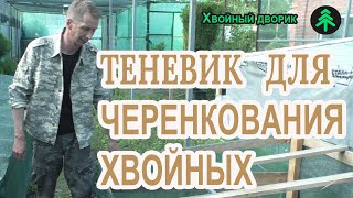 Теневик для черенкования хвойных растений весной туи,можжевельника и самшита.