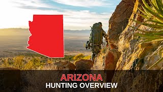 The Basics of Hunting in Arizona | Mastering The Draw