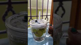 রোজ সকালে উঠে আমি কি করলাম minivlog shortsviral food shortvideo shortvideos summer shorts