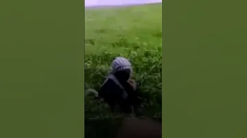 اجمل موال بصوت بنت انا عاداني الوكت يهواي لايك إشتراك 