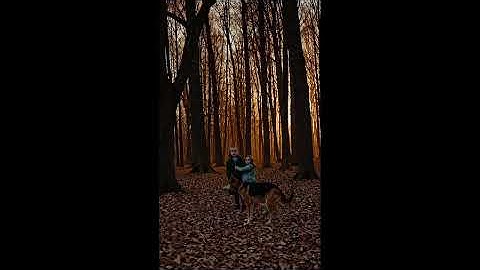 20251105 1945 New Video simple compose 01k9ab2s6aeretynf9m3de03p6 chf3 prob4