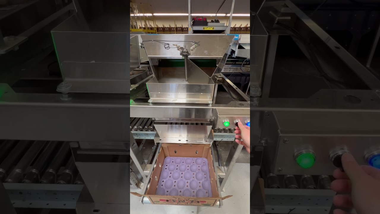 High speed automatic avocado tray filler