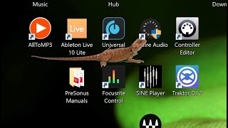 Bearded Dragon Desktop Pet Lizard screenshot 3