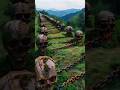 😱"Amazon Rainforest से भी खतरनाक जंगल ? 🤔|| #amazonrainforest #mystery #facts #sorts #viralvideo ||