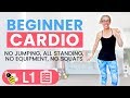 Low Impact Cardio for ACTUAL Beginners, 30 Minute Home Workout