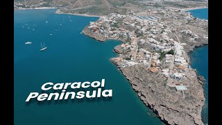 Meet the Neighborhood: Caracol Peninsula (San Carlos)