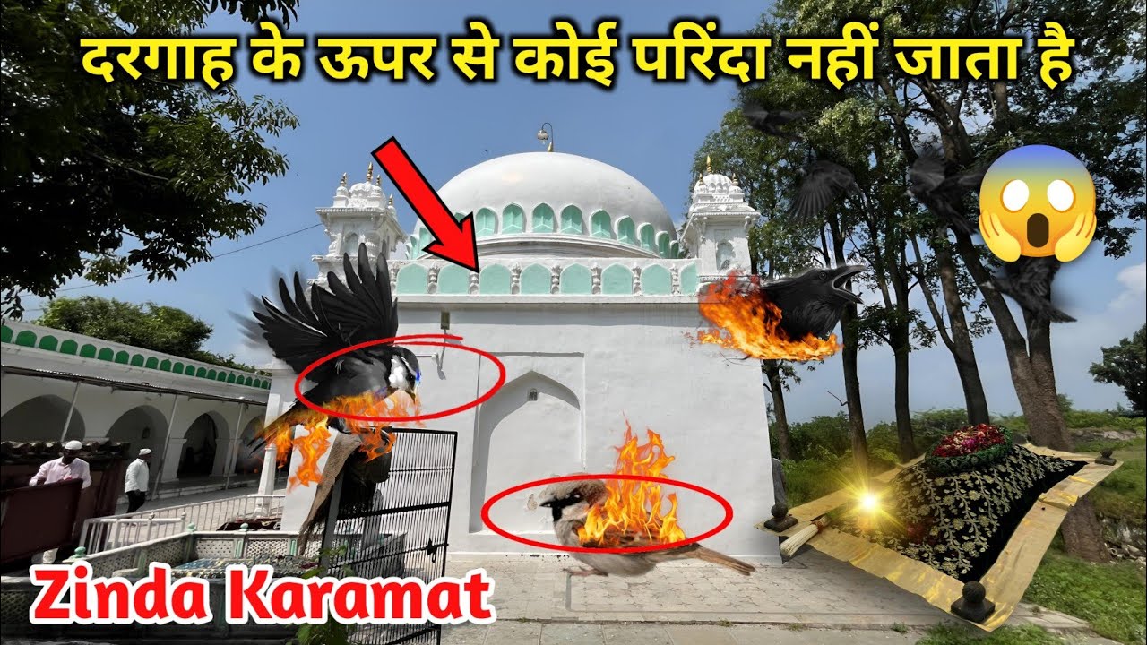 In Wali Allah Ki Dargah Ke Upar Se koi Parinda Nahin Jata Hai😱 Raju Qattal Hussaini Khuldabad Dargah