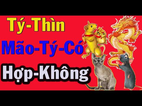 Video: Tử Vi Phương Đông Tương Hợp: Tý Và Mão