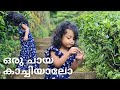 128.Lifestory of tea || ചായ ഉണ്ടായ കഥ || Tea estate || High altitude Tea leaves👌