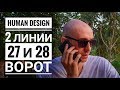 Дизайн Человека 27 и 28 ворота. 2 линии Даниил Трофимов. Human Design