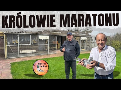 Mistrzowie Maratonu z Holandii – Duet, który niszczy konkurencję! Belleter-de Weerd