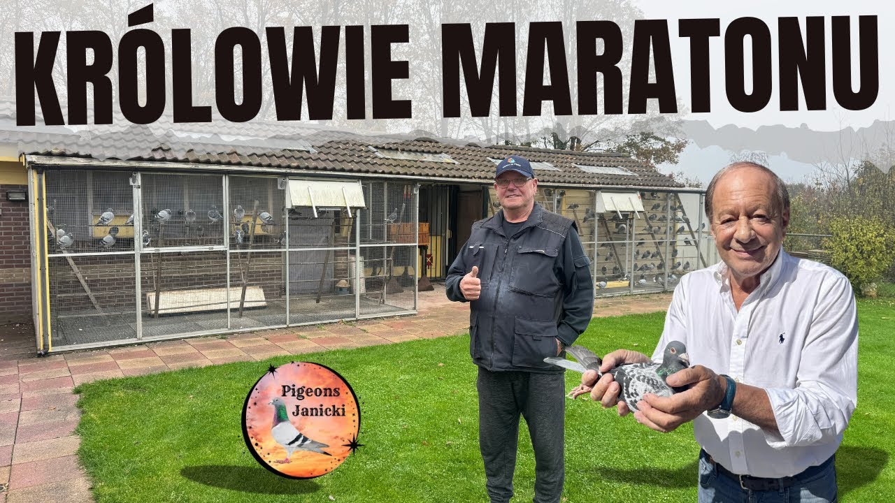 Mistrzowie Maratonu z Holandii – Duet, który niszczy konkurencję! Belleter-de Weerd