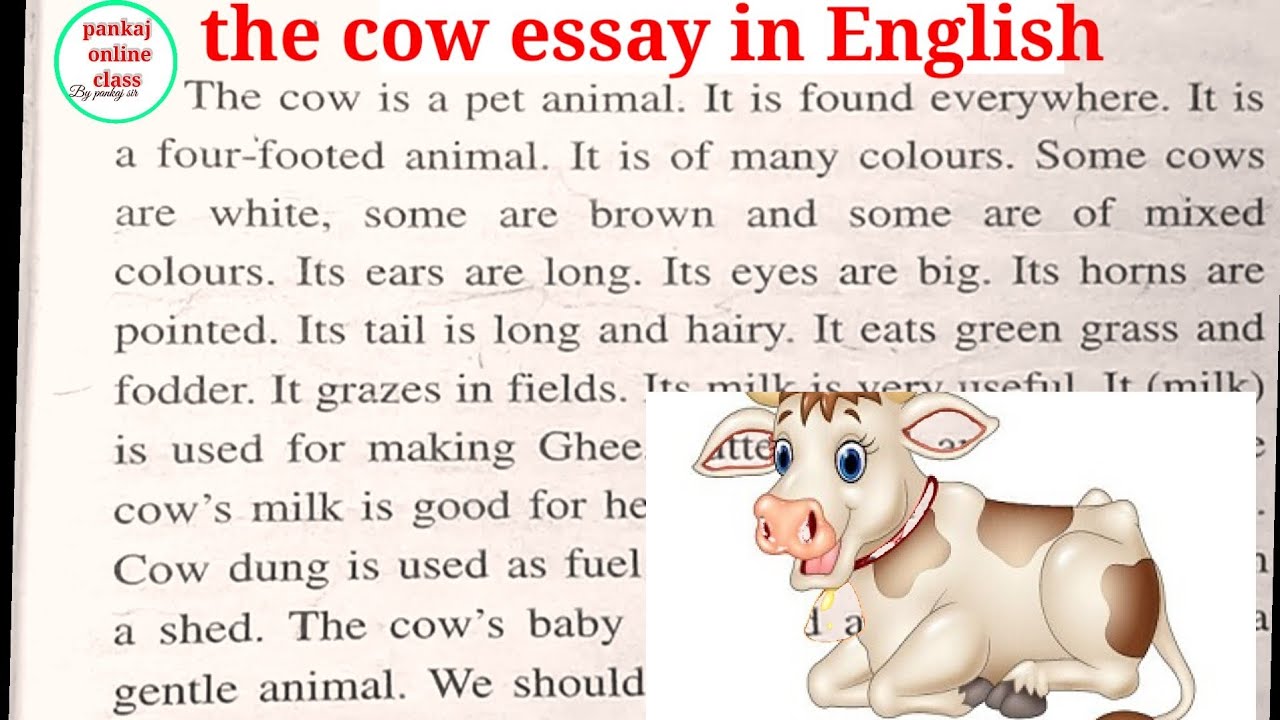 essay nibandh english mein