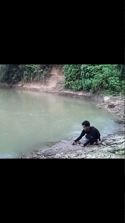 bukan rezeki,ikan sidat lepas saat sudah di pinggir
