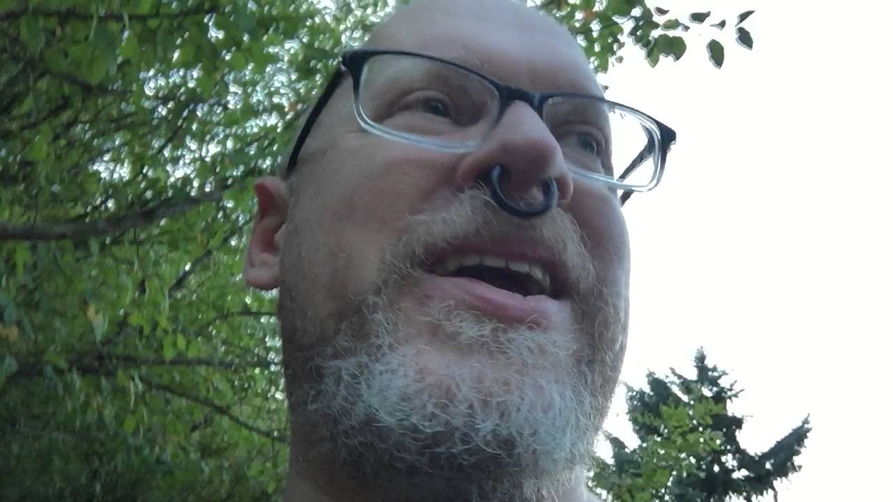 atheism plus Pikachu, yellowjacket attack