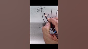 How to draw palm tree by pencil//#shorts//#sketch//