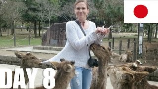 Nara Park & Kyoto. Japan, Day 8