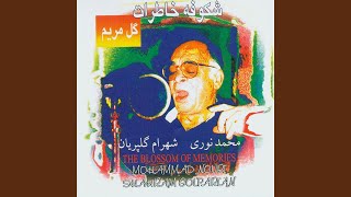 Video thumbnail of "Mohammad Nouri - Jan-e-Maryam"