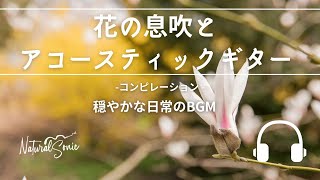 Natural Sonic「花の息吹とアコースティックギター」コンピレーション  穏やかな日常のBGM