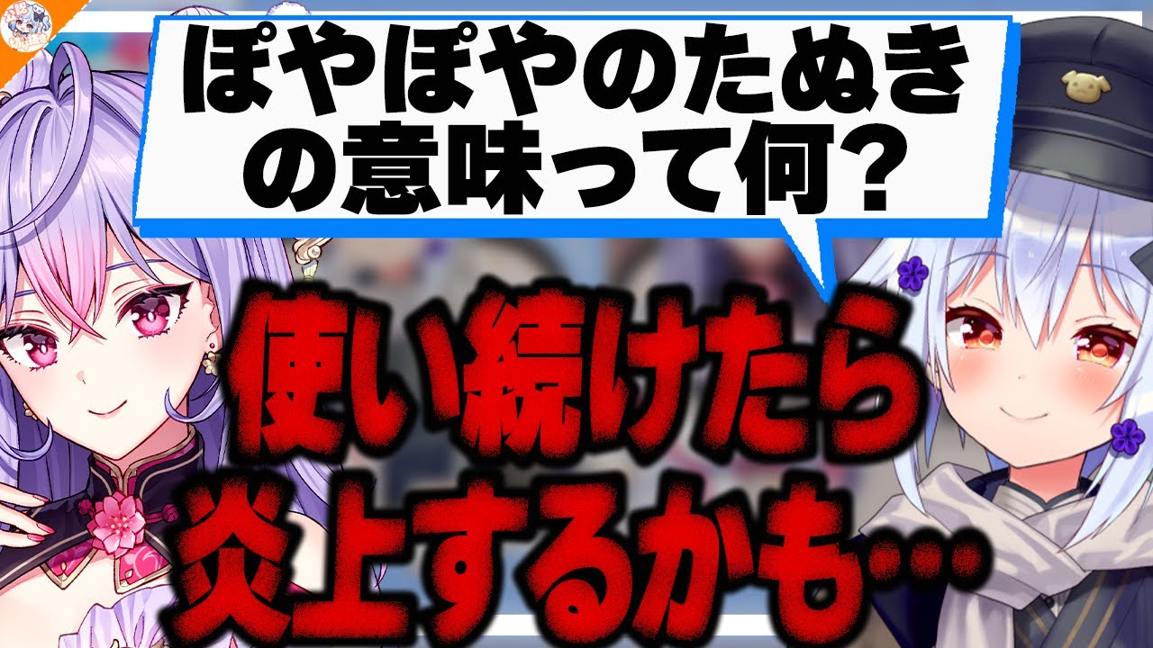 【真相は如何に!?】「ぽやぽやのたぬき」の意味を梢桃音に聞いてみる犬山たまき【#もねたま】