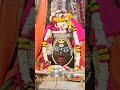 17 February26 #live #livemahakal #livestream #liveujjaindasrshan #yt #trending #trendingsong #sambhu
